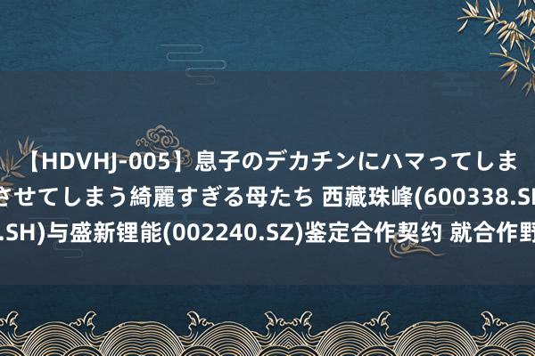 【HDVHJ-005】息子のデカチンにハマってしまい毎日のように挿入させてしまう綺麗すぎる母たち 西藏珠峰(600338.SH)与盛新锂能(002240.SZ)鉴定合作契约 就合作野心纠纷杀青息争