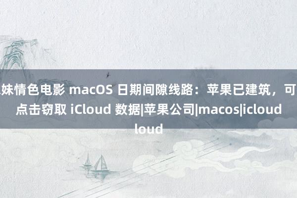 妹妹情色电影 macOS 日期间隙线路：苹果已建筑，可零点击窃取 iCloud 数据|苹果公司|macos|icloud