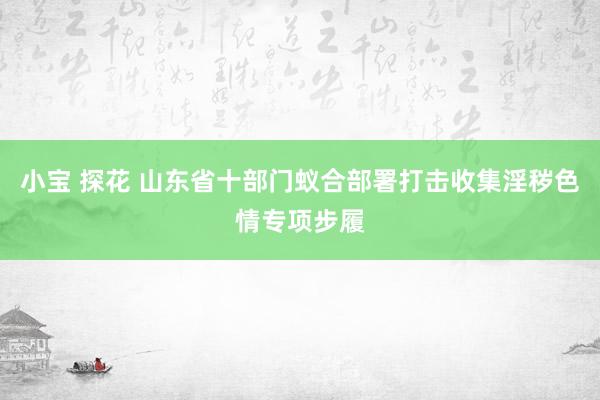 小宝 探花 山东省十部门蚁合部署打击收集淫秽色情专项步履