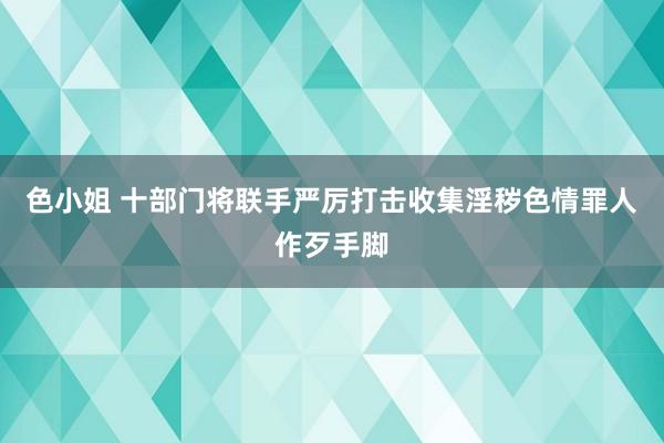 色小姐 十部门将联手严厉打击收集淫秽色情罪人作歹手脚